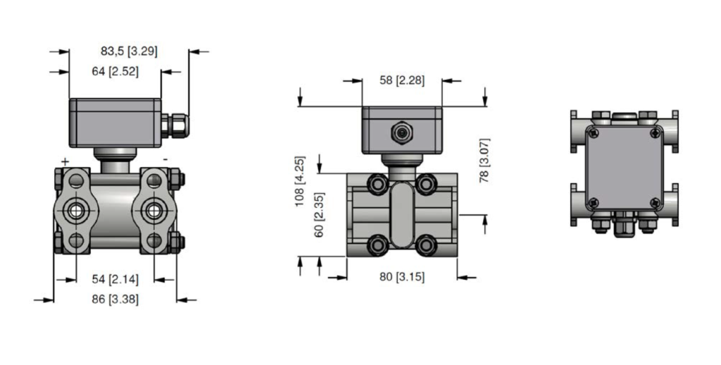 DPT100 schematic layout and dimensions in mm